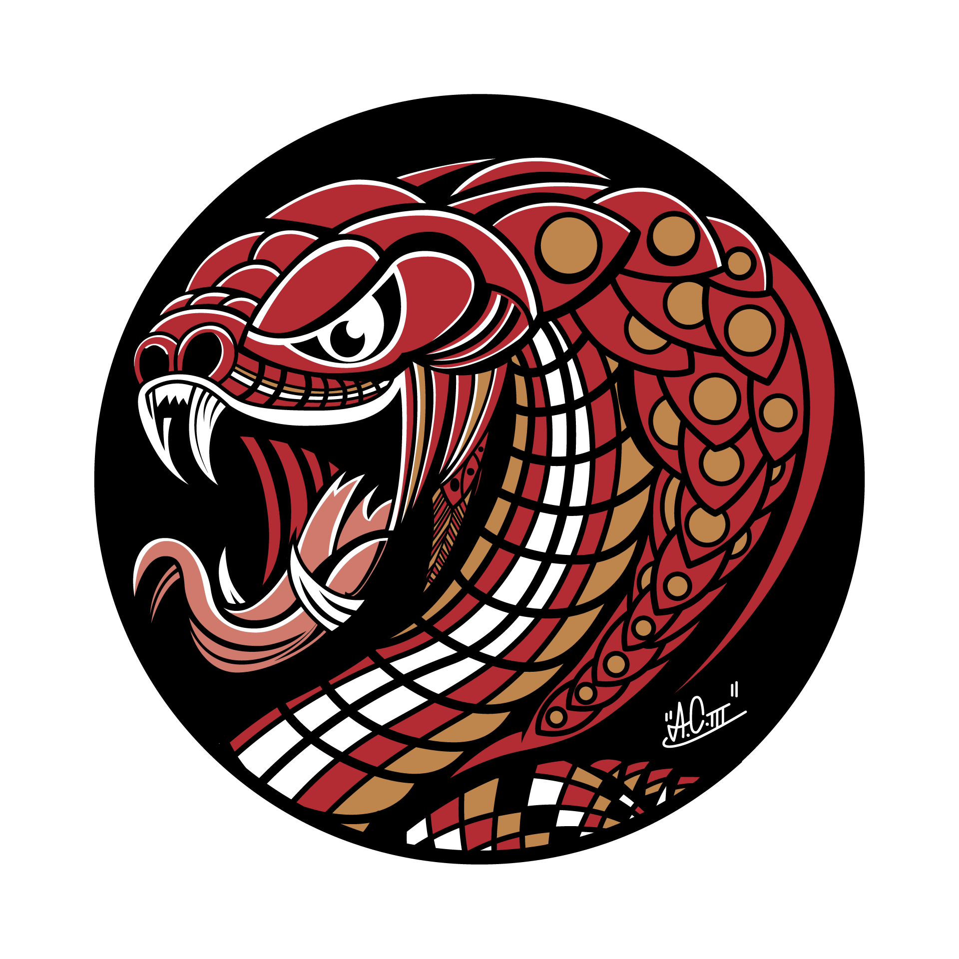 Warrior Soul Combat logo